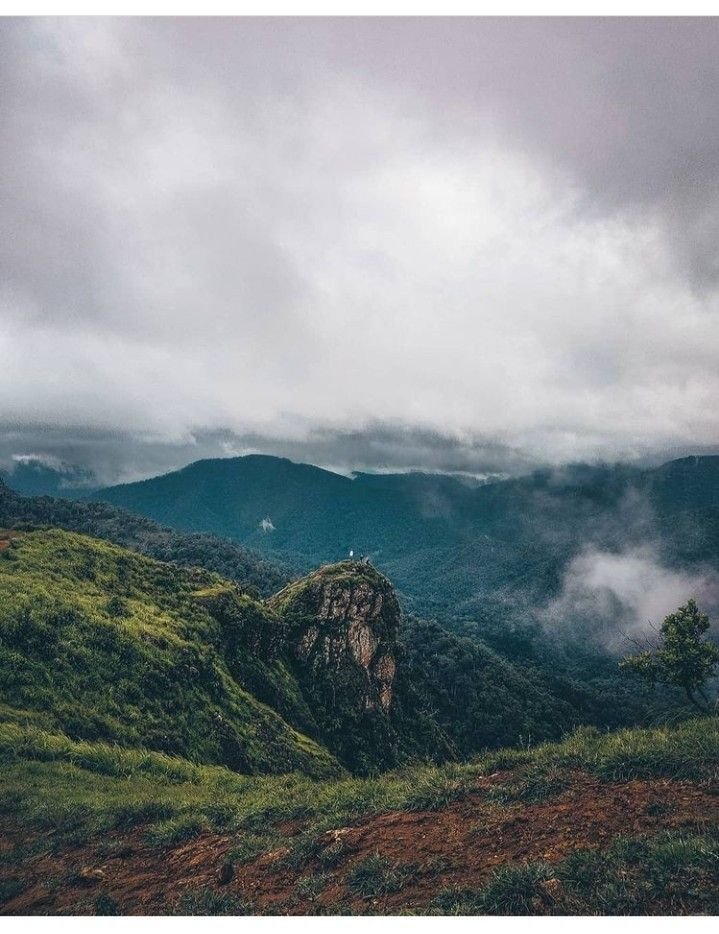 Parunthumpara