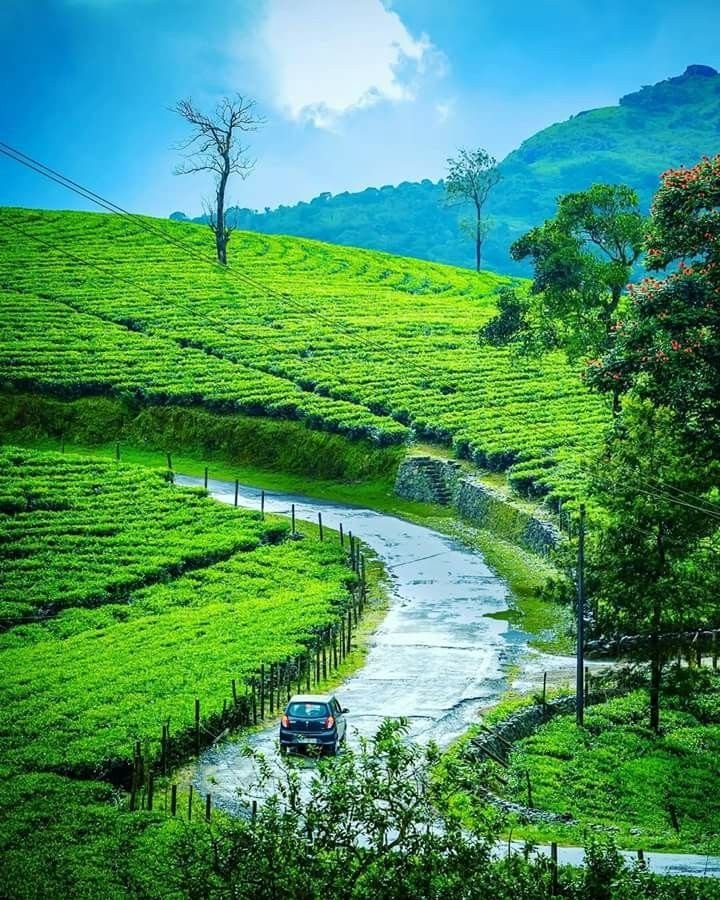 Vagamon